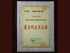 2007年度最具網(wǎng)友關(guān)注獎(jiǎng)（華盛·格林雅地）