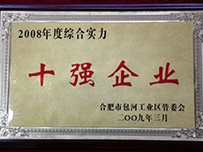 2008年度包河工業(yè)區(qū)綜合實(shí)力十強(qiáng)企業(yè)